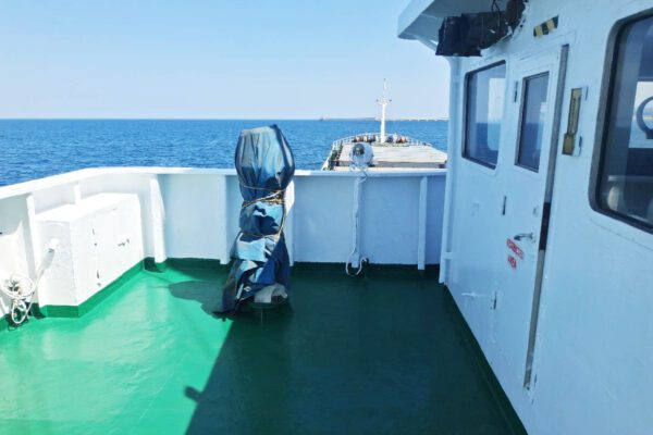 20240702102038788068338